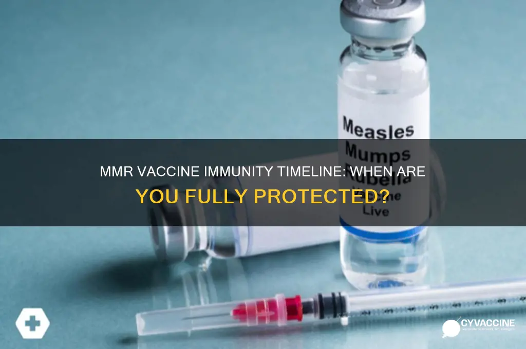 when do i have immunity after mmr vaccine