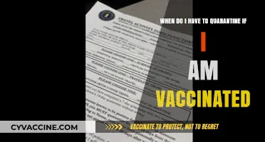 Vaccinated and Traveling: Quarantine Requirements You Need to Know