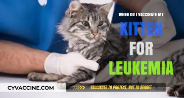 Protecting Your Kitten: When to Vaccinate Against Feline Leukemia