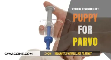 Protect Your Puppy: Parvo Vaccination Schedule and Timing Guide