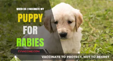 When to Vaccinate Your Puppy for Rabies: A Complete Guide