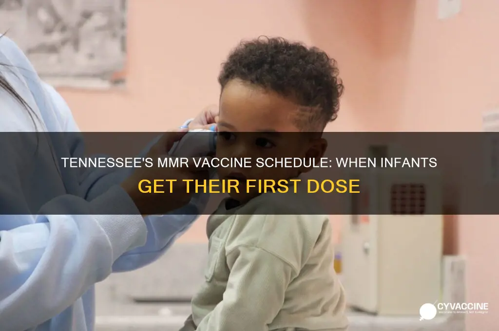when do infants receive mmr vaccine in tennessee
