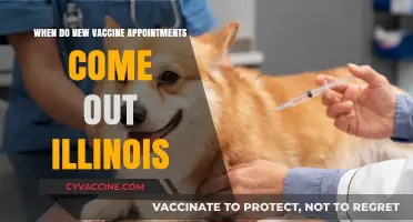 Illinois Vaccine Appointments: When to Expect New Availability Dates