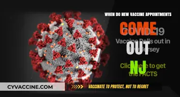 NJ Vaccine Appointments: When to Expect New Availability Updates