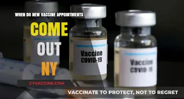 New York Vaccine Appointments: When and Where to Find Updates