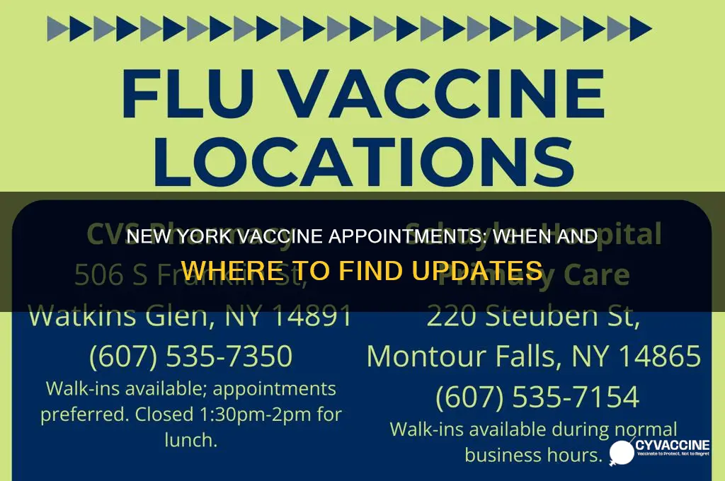 when do new vaccine appointments come out ny