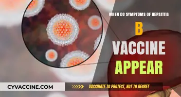 Hepatitis B Vaccine: When Do Symptoms Typically Appear?