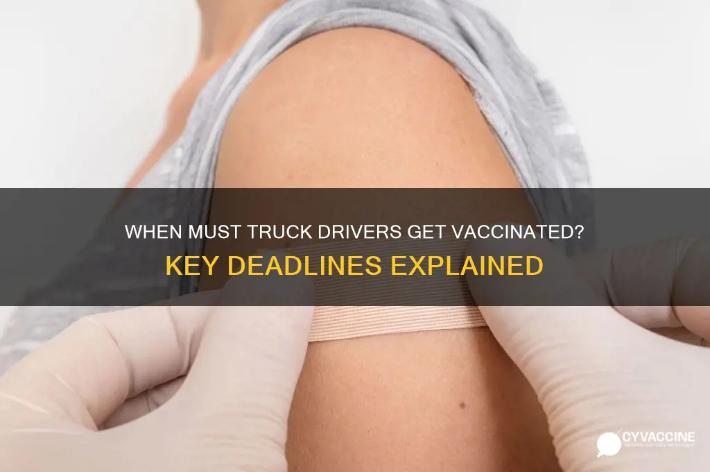 when do truck drivers have to be vaccinated