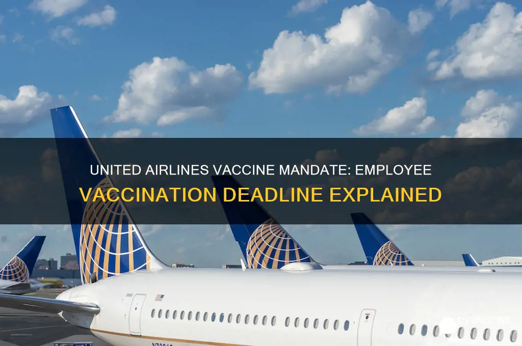 when do united employees have to be vaccinated