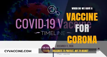 When Will the Coronavirus Vaccine Be Ready? Latest Updates and Timeline