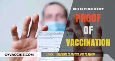 When and Where Proof of Vaccination is Required: A Guide