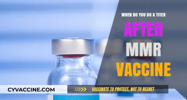 When to Test MMR Vaccine Immunity: Titer Timing Explained