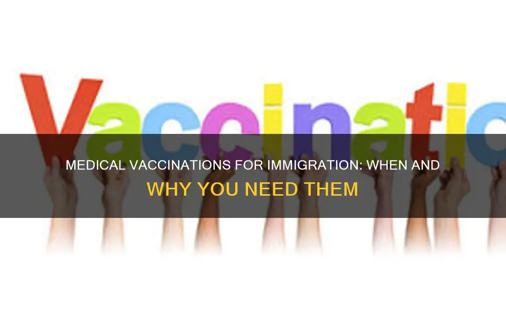 when do you dote medical vaccination for your immigration status
