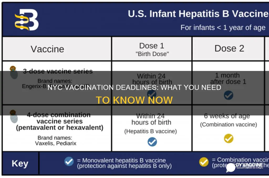 when do you have to be vaccinated in nyc