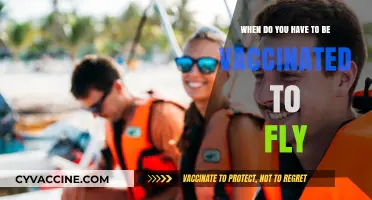 Vaccinated to Fly: Essential Travel Immunization Timelines for Air Passengers
