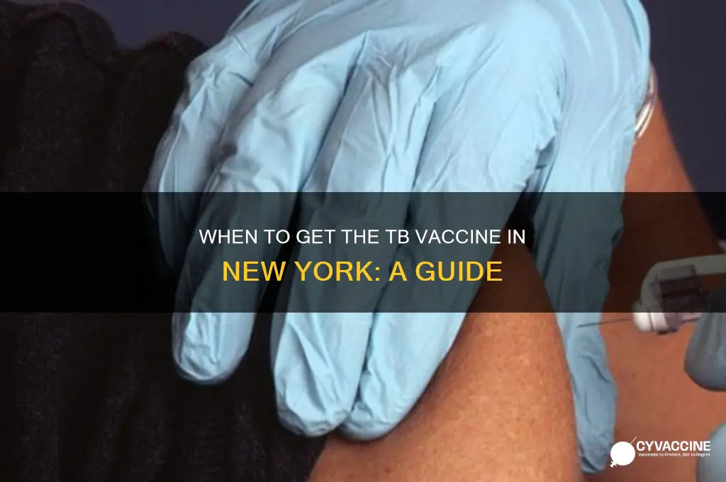 when do you receive tb vaccine new york