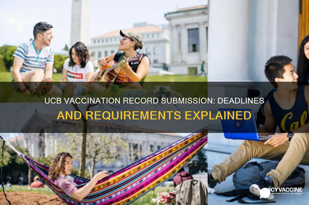 when do you submit vaccination record at ucb