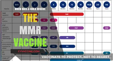 MMR Vaccine Schedule: When Should Your Child Receive It?