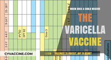 Varicella Vaccine Schedule: When Should Your Child Receive It?