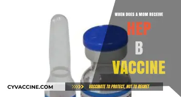 When Should Moms Get the Hepatitis B Vaccine?