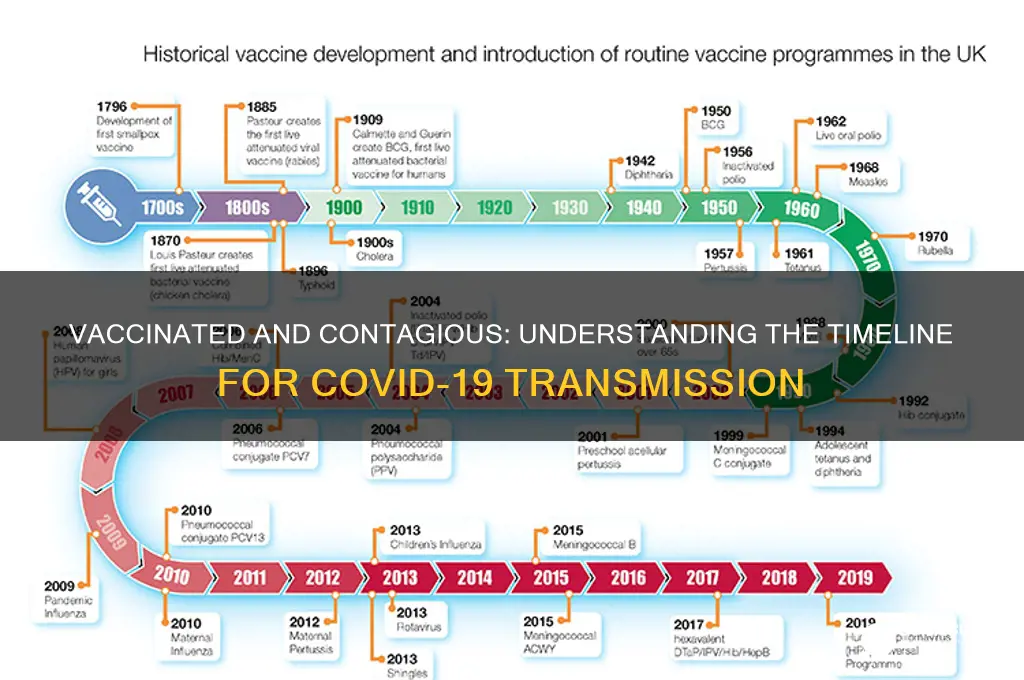 when does a vaccinated person stop being contagious