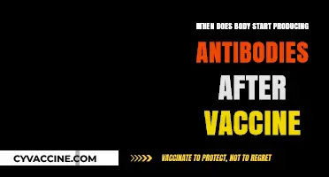 When Do Antibodies Develop Post-Vaccination: Understanding Your Body's Response