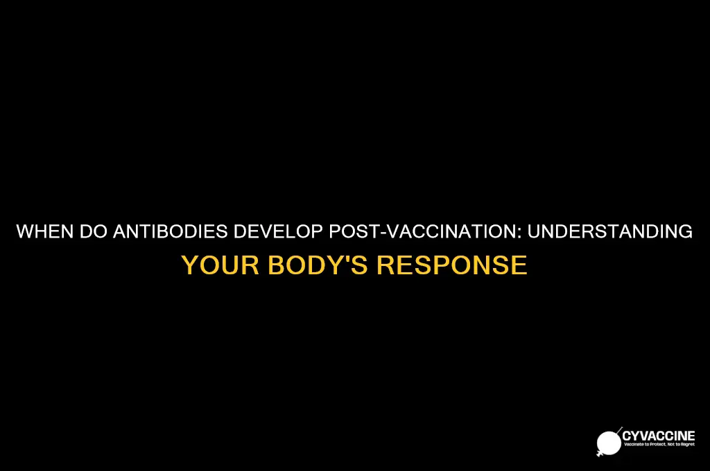 when does body start producing antibodies after vaccine