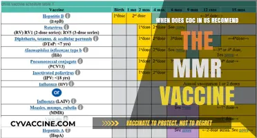 CDC MMR Vaccine Recommendation: Timing and Guidelines for Children