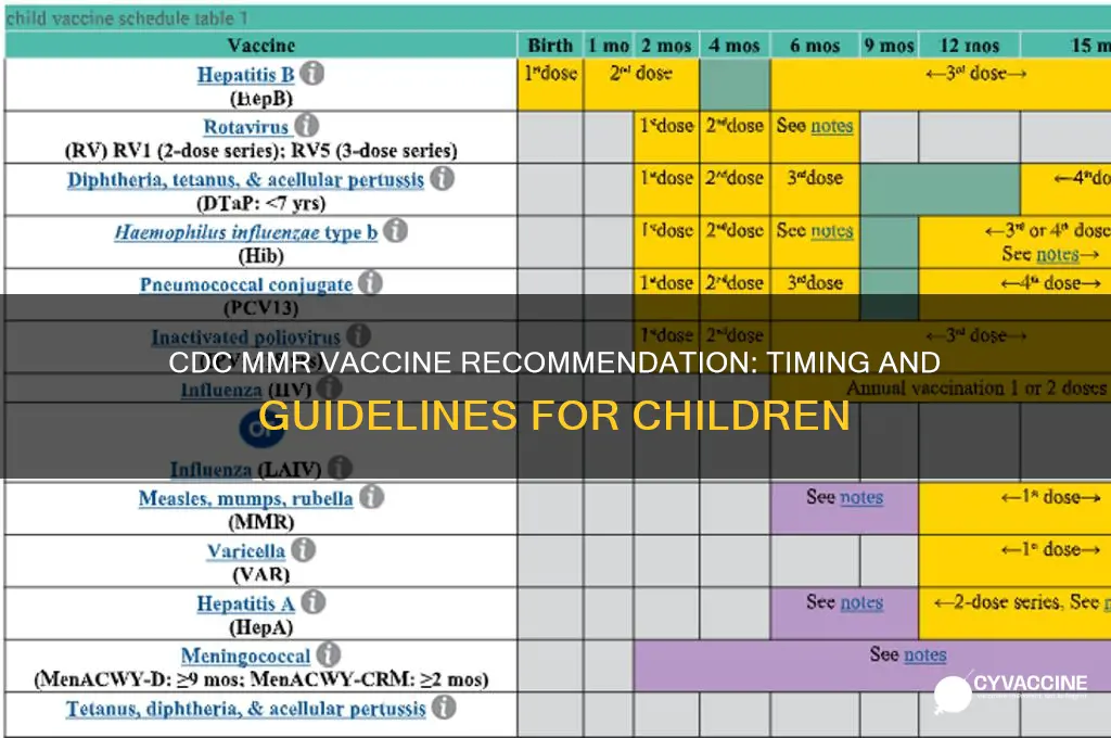 when does cdc in us recomend the mmr vaccine