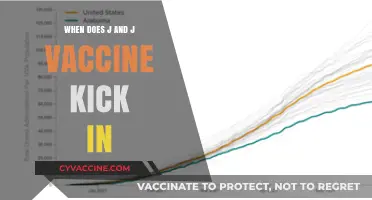 When Does the J&J Vaccine Take Effect? A Timeline Guide