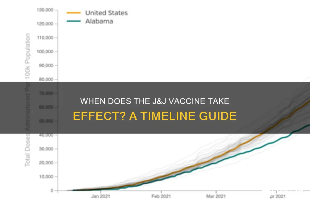 when does j and j vaccine kick in
