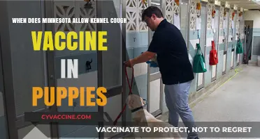 Minnesota's Kennel Cough Vaccine Schedule for Puppies: What You Need to Know
