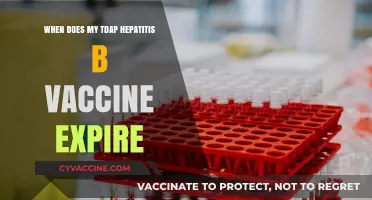 When Does Your Tdap and Hepatitis B Vaccine Expire?