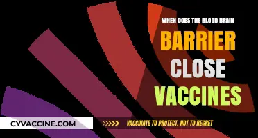Blood-Brain Barrier Closure and Vaccines: Timing and Implications