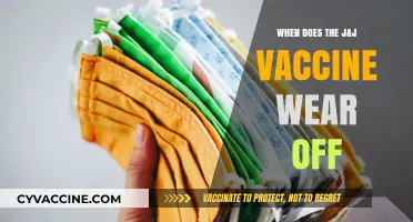 How Long Does J&J Vaccine Protection Last? What to Know