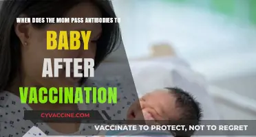 Mom's Vaccination: When Do Antibodies Reach Baby? A Guide
