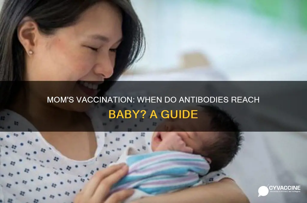 when does the mom pass antibodies to baby after vaccination