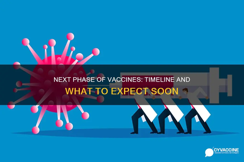when does the next phase of vaccines start