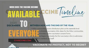 When Can Everyone Get the COVID-19 Vaccine? A Timeline