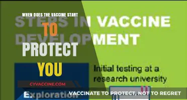 When Does the Vaccine Begin Protecting You? A Timeline Explained