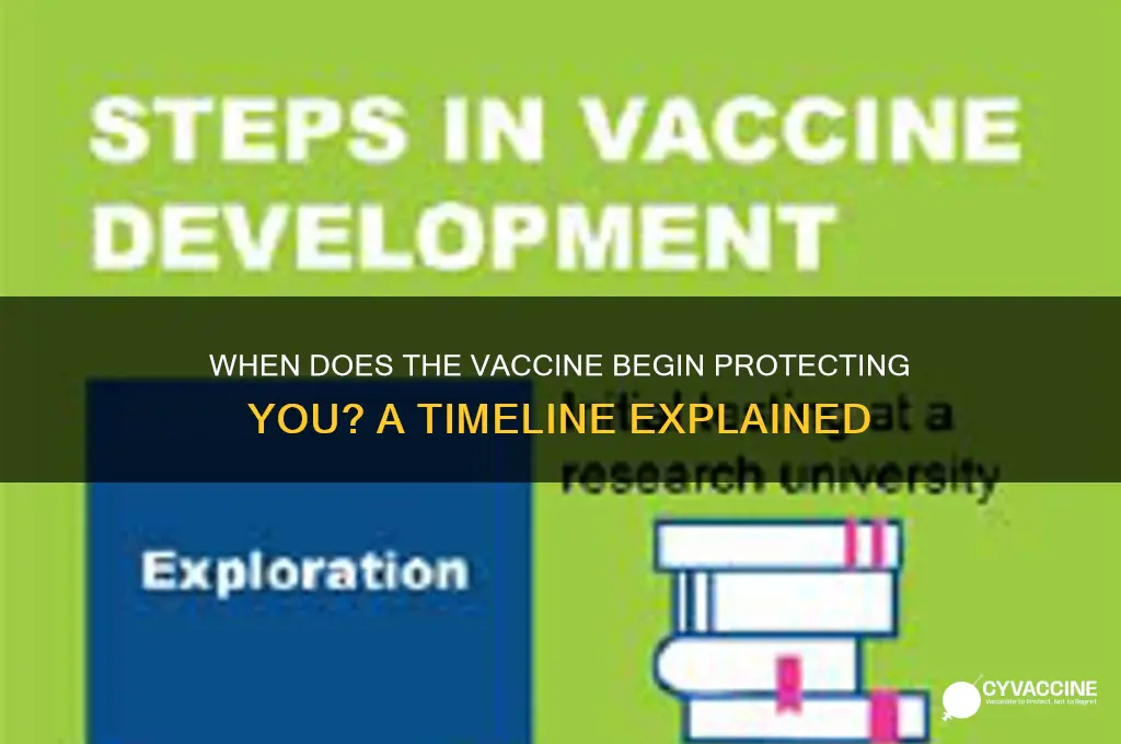 when does the vaccine start to protect you