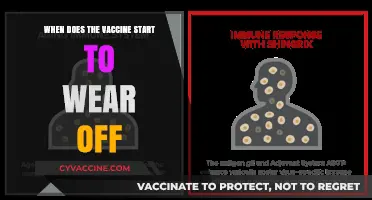 When Does Vaccine Protection Fade? Understanding Immunity Decline Over Time