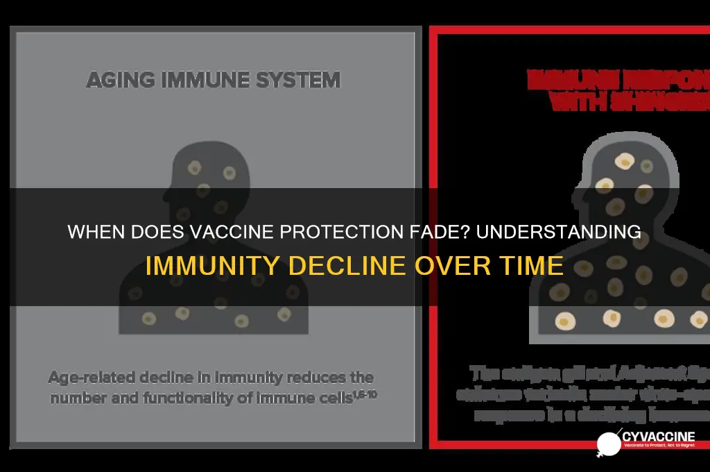 when does the vaccine start to wear off