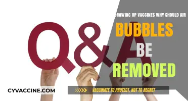 Removing Air Bubbles in Vaccines: Ensuring Safety and Efficacy in Every Dose