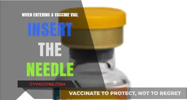 Proper Vaccine Vial Entry: Needle Insertion Techniques for Safe Administration