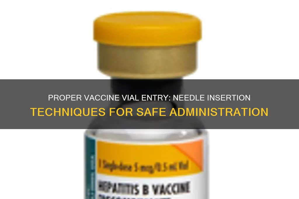 when entering a vaccine vial insert the needle
