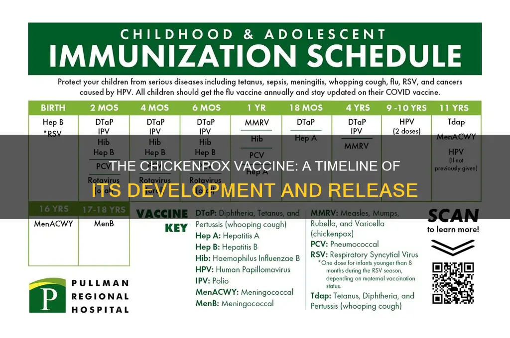 when fif the chicken pox vaccine come out