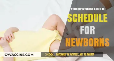 Hepatitis B Vaccine: When Newborns Started Receiving Protection at Birth