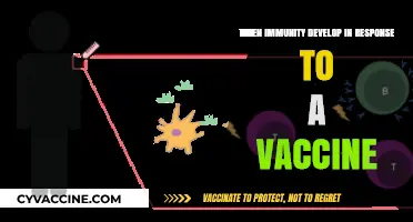 How Vaccines Trigger Immune Response and Build Lasting Immunity