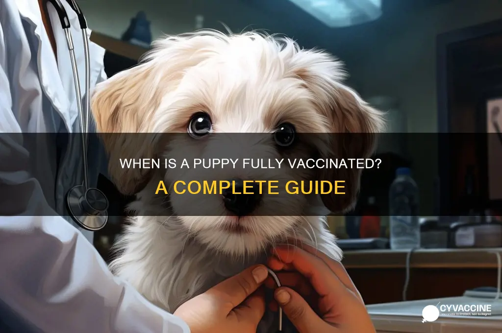 when is a puppy fully vaccinated